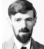 D. H. Lawrence